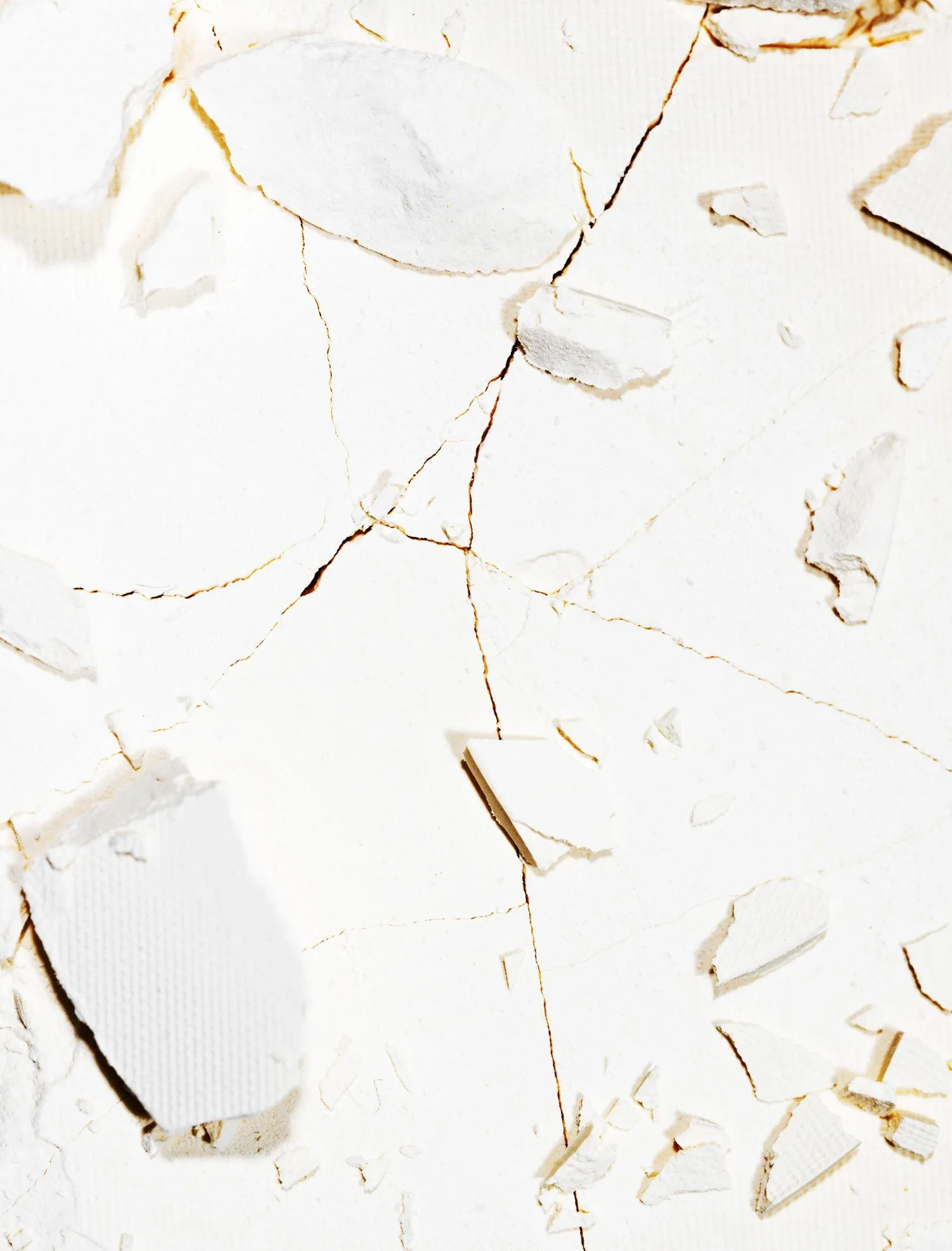 Blotting powder