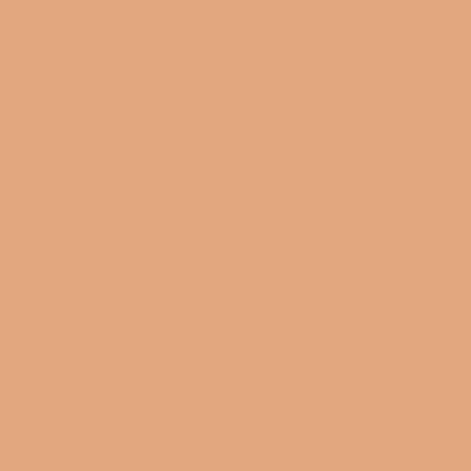 GBB941 BB CREAM FAIR