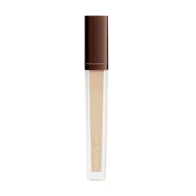 Vanish Airbrush Concealer